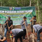 PT HRB Bersama Kelompok Tani Di Sungai Pinang Kelola Hutan Tanam Beras Merah